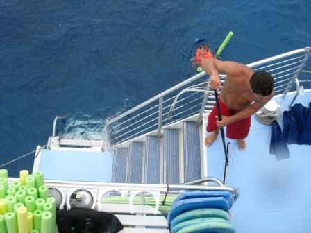 Body glove boat ladder